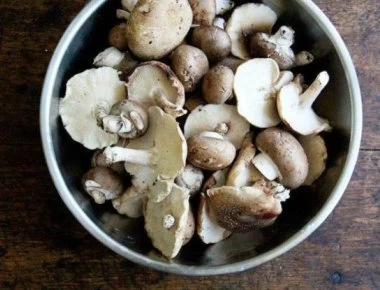 Μπορούν τα μανιτάρια να αντικαταστήσουν το κρέας; - Η πρωτεΐνη και το πείραμα